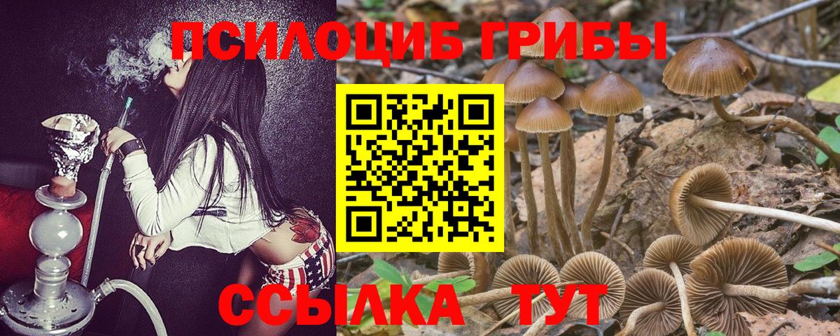 Корсаков  Псилоцибиновые грибы мухоморы  Галлюциногенные грибы Psilocybe  Вход с VPN 