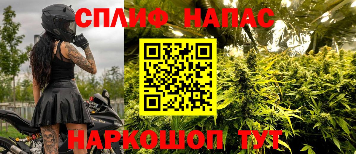 Канабис гибрид Корсаков